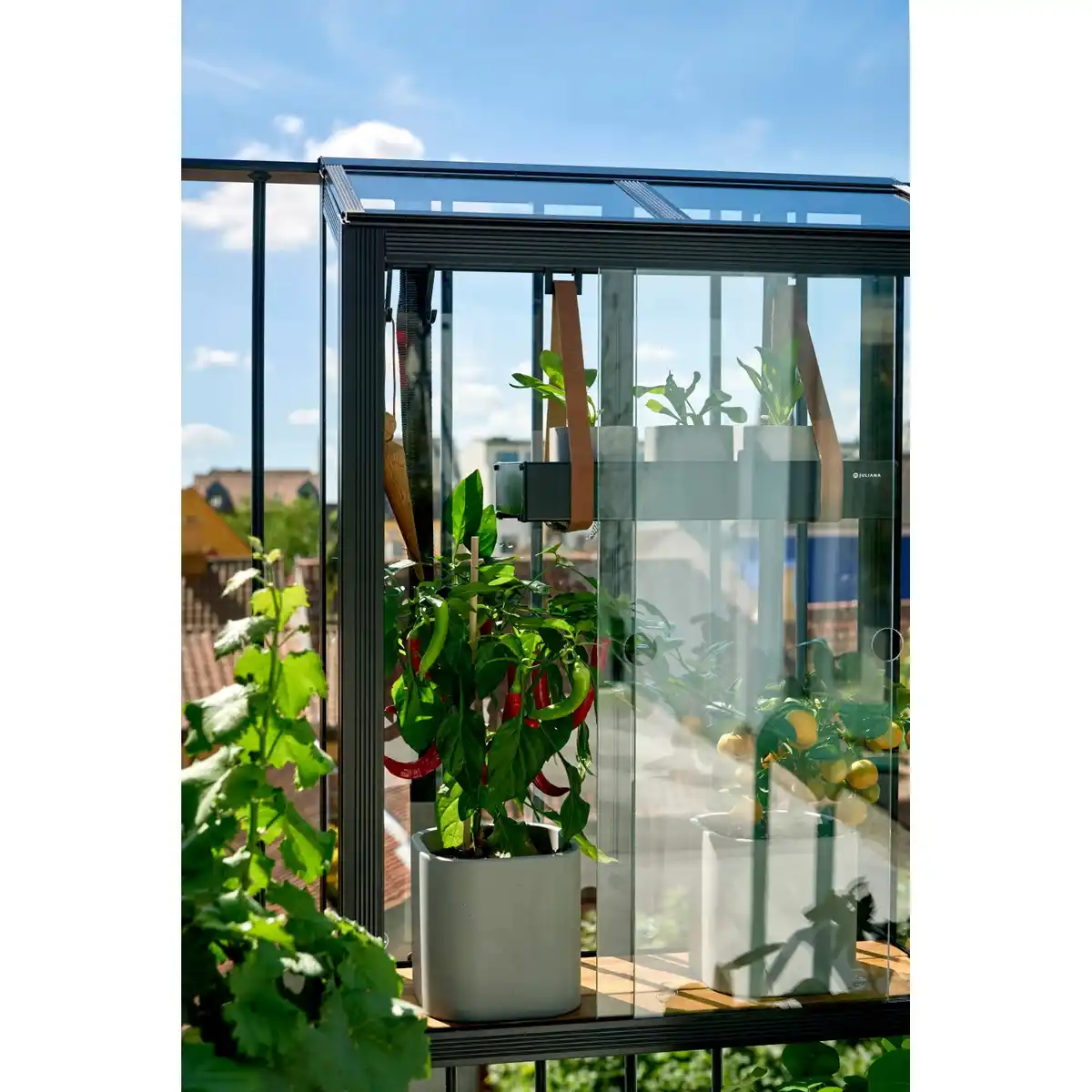 Bild 4 von Juliana Gewächshaus Urban Balcony