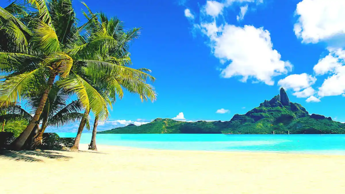 Bild 1 von Kreuzfahrten Transpazifik: Kreuzfahrt mit der Quantum of the Seas von Brisbane bis Seattle inkl. Vorprogramm in Australien