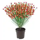 Bild 1 von GARDENLINE Edelginster Lena