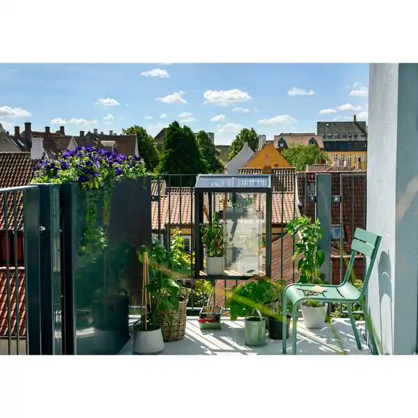 Bild 3 von Juliana Gewächshaus Urban Balcony