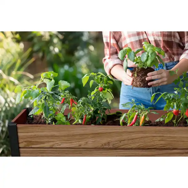 Bild 2 von KETER Hochbeet »Signature«, Kunststoff, BxHxT: 113 x 80 x 48 cm, in Holzoptik