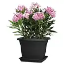 Bild 3 von SCHEURICH Untersetzer »Lara«, graumetallic, Kunststoff, eckig