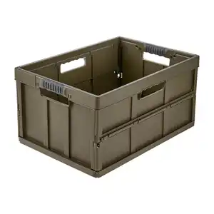 KEEEPER Klappbox »Benno«, 45,0L 53,5x37,5x27,5 cm olive