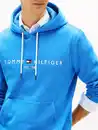 Bild 1 von Tommy Hilfiger Kapuzensweatshirt TOMMY LOGO unifarben, casual, regular fit, Baumwollmix, Kapuze