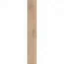 Bild 3 von Laminatboden Binyl Pro Biscotti Oak 8 mm