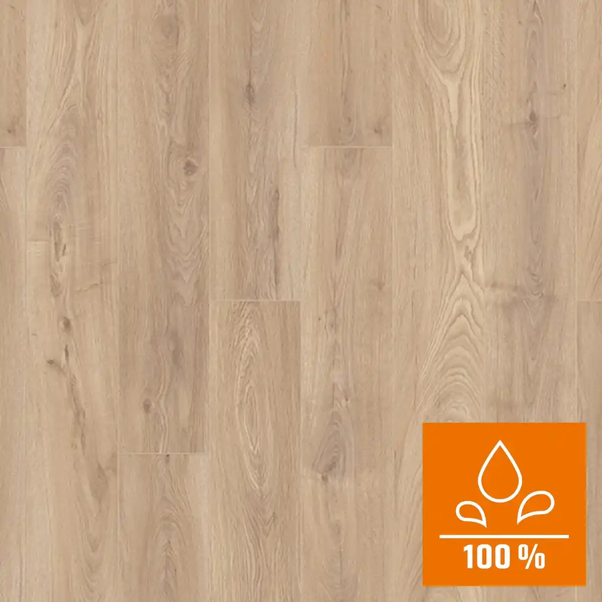 Bild 1 von Laminatboden Binyl Pro Biscotti Oak 8 mm