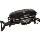 Bild 3 von Jamestown 2-Brenner Gasgrill Myles