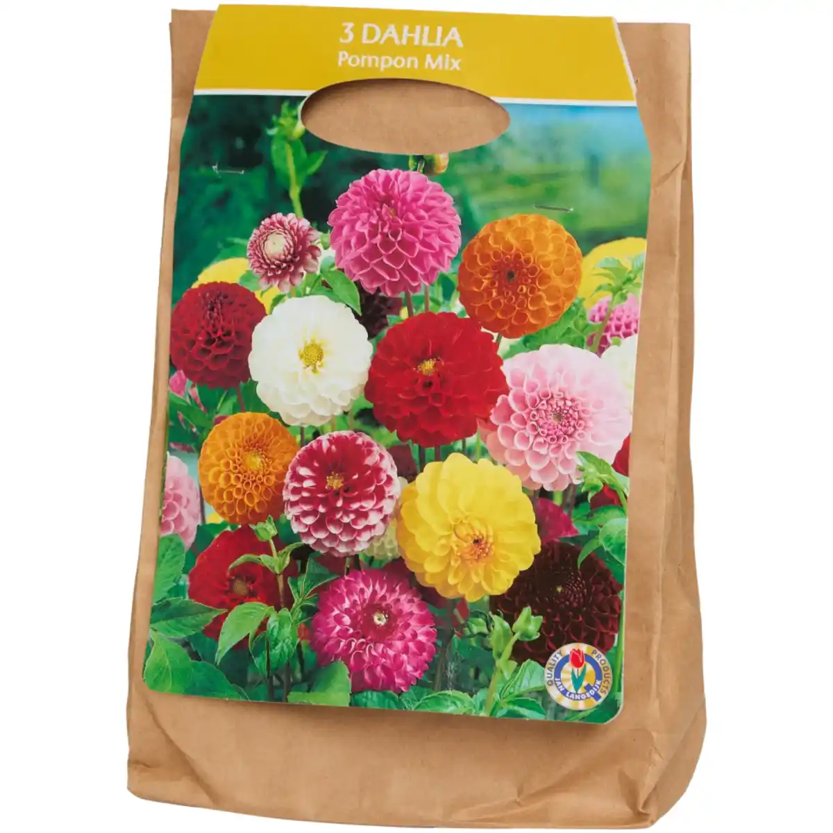 Bild 3 von Dahlien-Zwiebeln