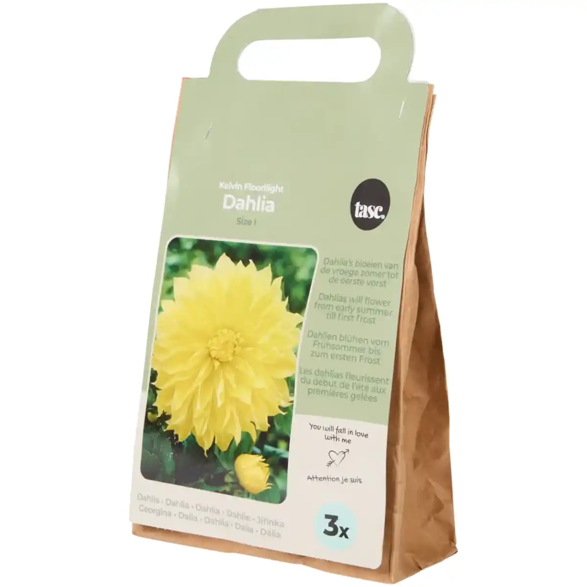 Bild 1 von Blumenzwiebeln Dahlien