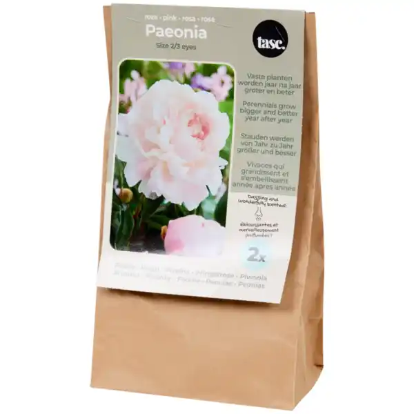 Bild 2 von Pfingstrosenzwiebeln