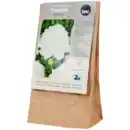 Bild 3 von Pfingstrosenzwiebeln