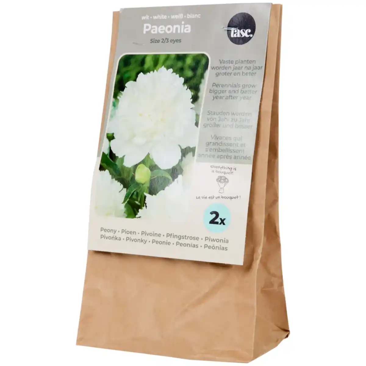 Bild 3 von Pfingstrosenzwiebeln