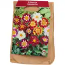 Bild 2 von Dahlien-Zwiebeln