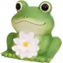 Bild 2 von Solar-Frosch