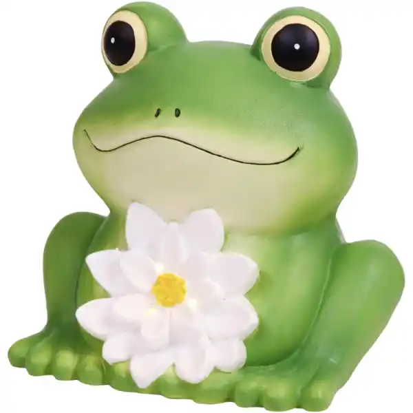 Bild 2 von Solar-Frosch