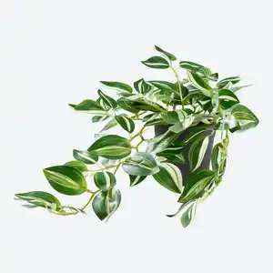 Kunstpflanze im Topf, ca. 35 cm