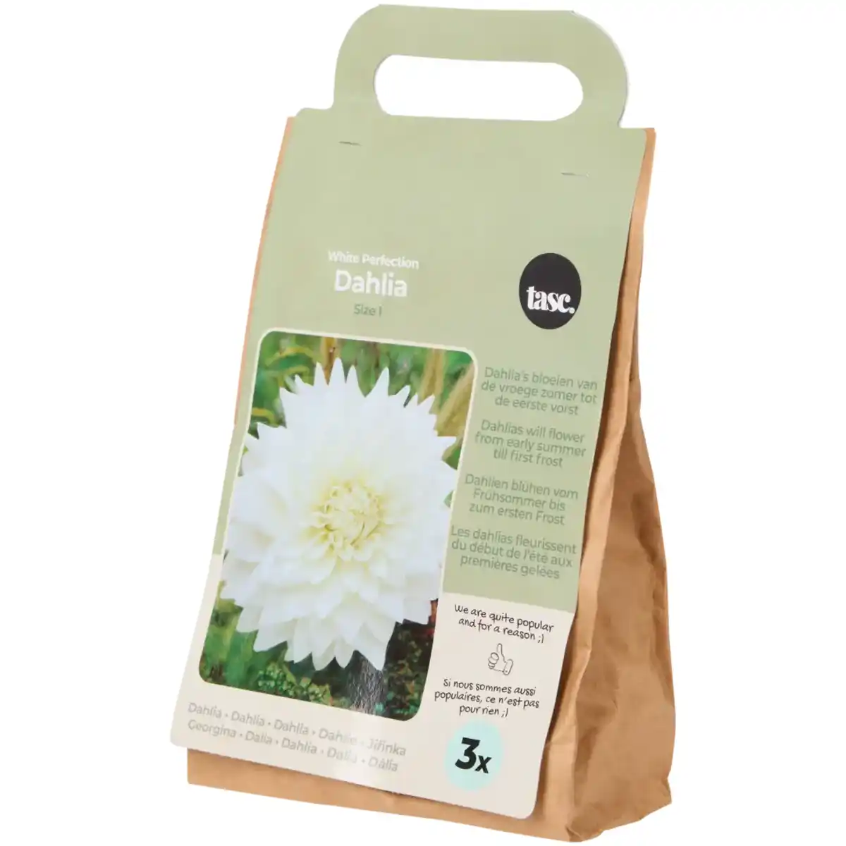 Bild 3 von Blumenzwiebeln Dahlien