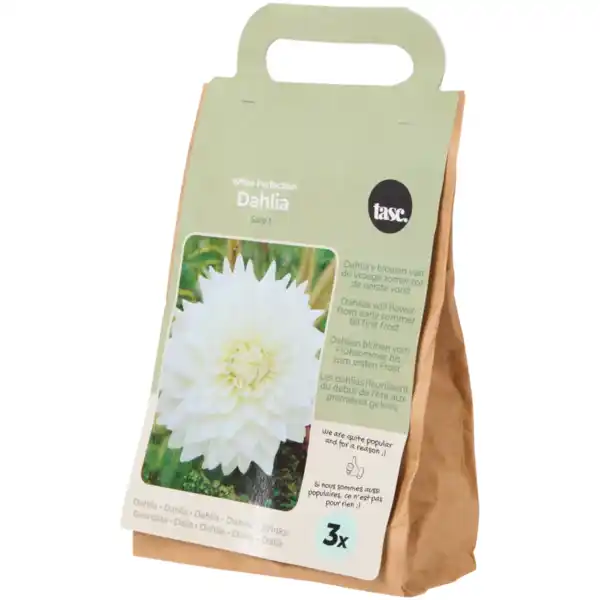 Bild 3 von Blumenzwiebeln Dahlien