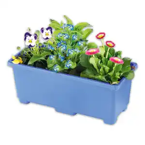 Bunter Balkonkasten Frühling