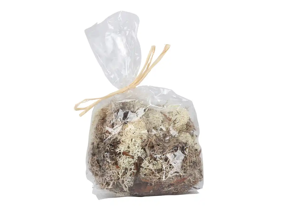 Bild 1 von Islandmoos natur