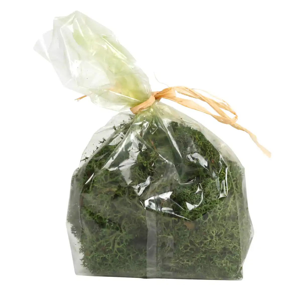 Bild 1 von Herbst-Dekomoos ca. 50 g