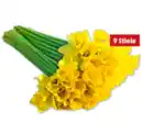 Bild 1 von Narzissen*