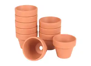 Mini-Blumentöpfe  10 Stück