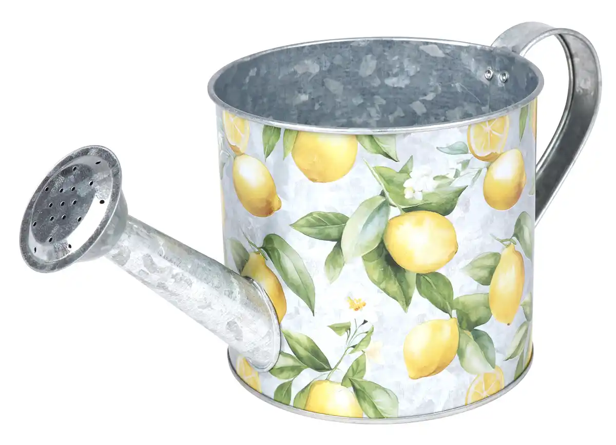 Bild 1 von Pflanzkanne „Provence“ Metall in Zinkoptik