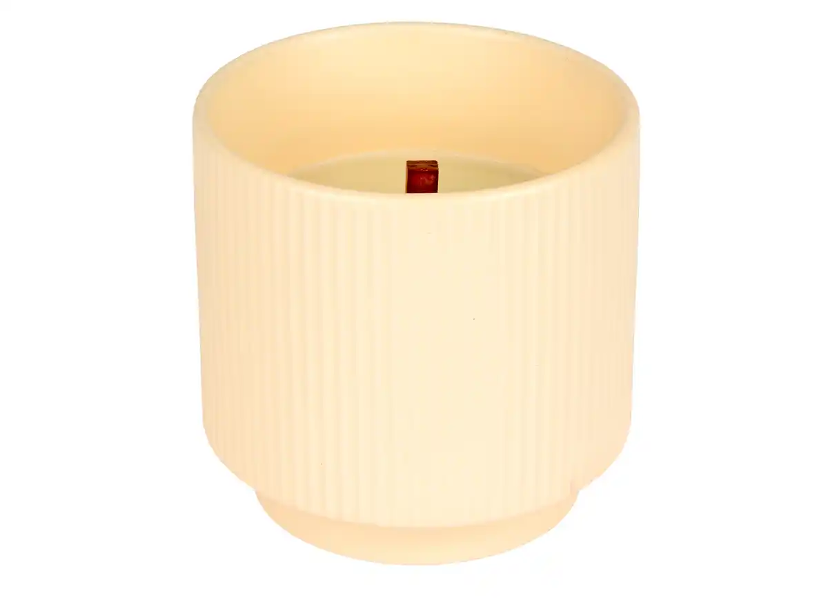 Bild 1 von Citronella-Kerze im Tontopf