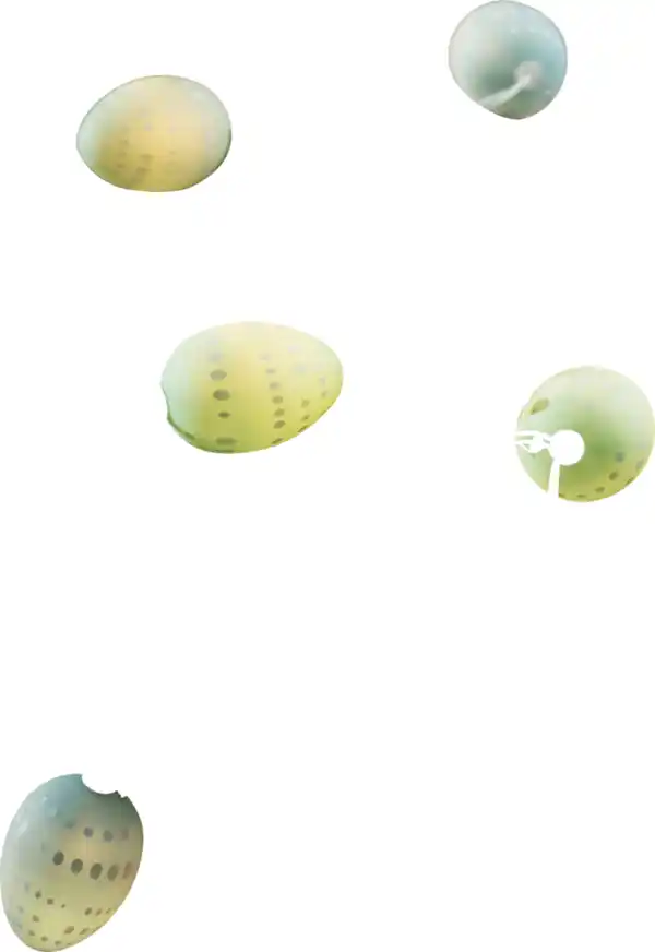 Bild 3 von IDEENWELT LED-Ostereier-Lichterkette