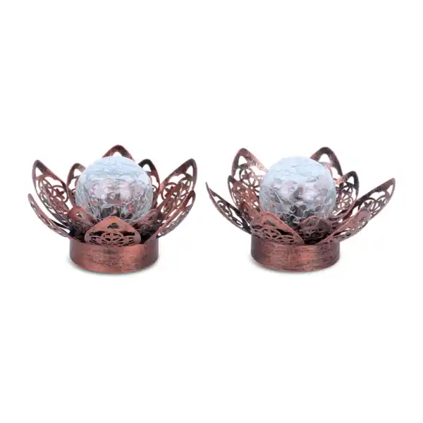 Bild 3 von BELAVI LED-Wasserlilie(n)