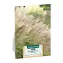 Bild 2 von GARDENLINE Ziergras