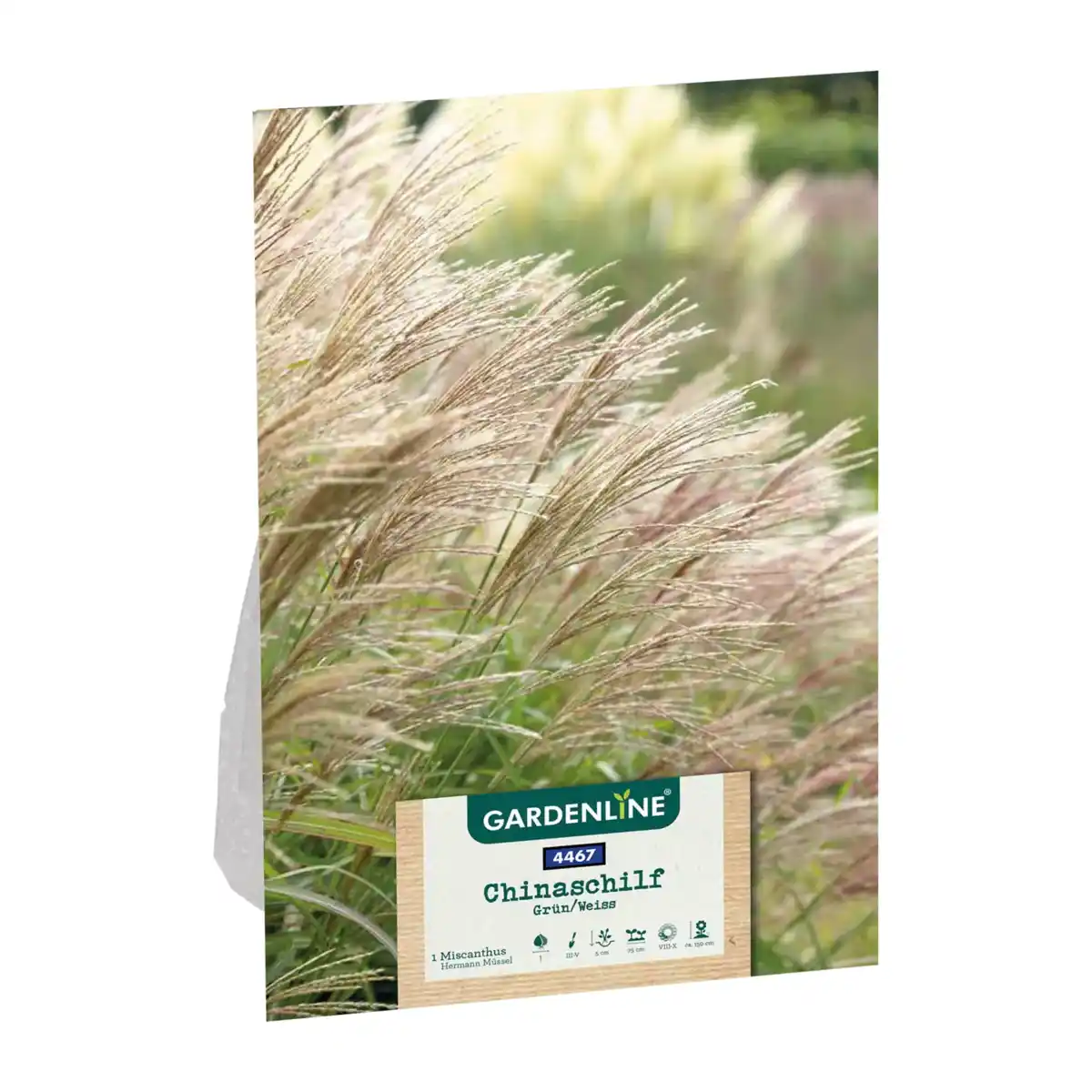 Bild 2 von GARDENLINE Ziergras