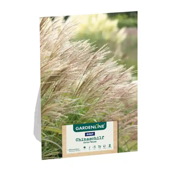 Bild 2 von GARDENLINE Ziergras