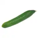 Bild 1 von GO BIO Gurke