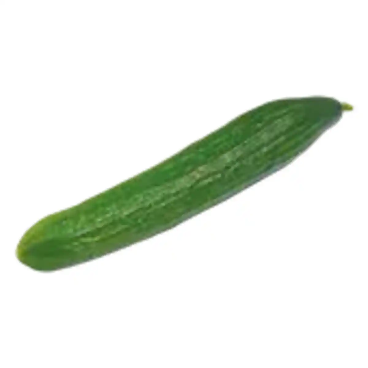 Bild 1 von GO BIO Gurke