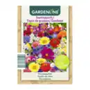 Bild 4 von GARDENLINE Saatteppich Sommerblumen