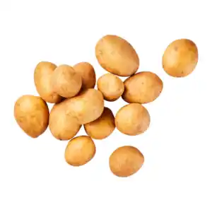 BIO Speisekartoffeln Festkochend