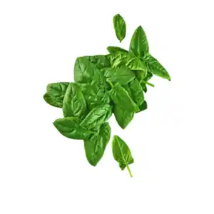 BIO Spinat