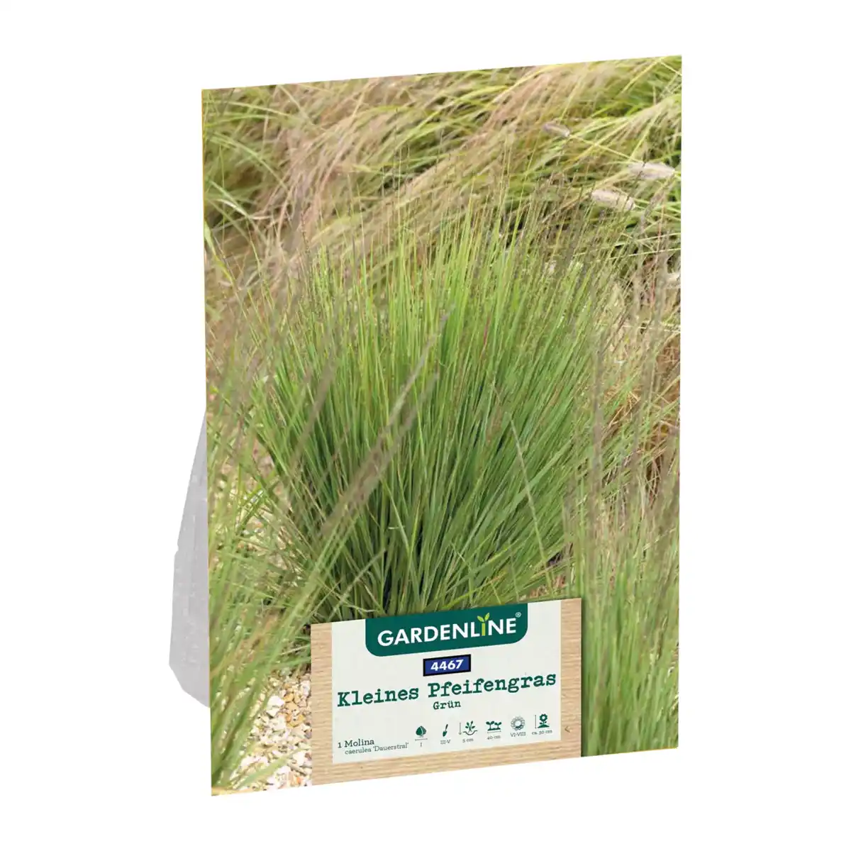 Bild 4 von GARDENLINE Ziergras