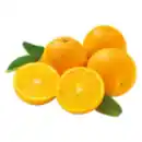 Bild 1 von Premieur Orangen