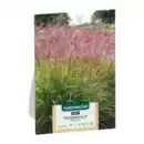 Bild 3 von GARDENLINE Ziergras