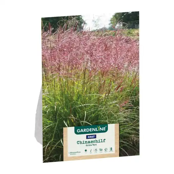 Bild 3 von GARDENLINE Ziergras