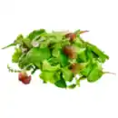 Bild 1 von Wildkräuter Salat