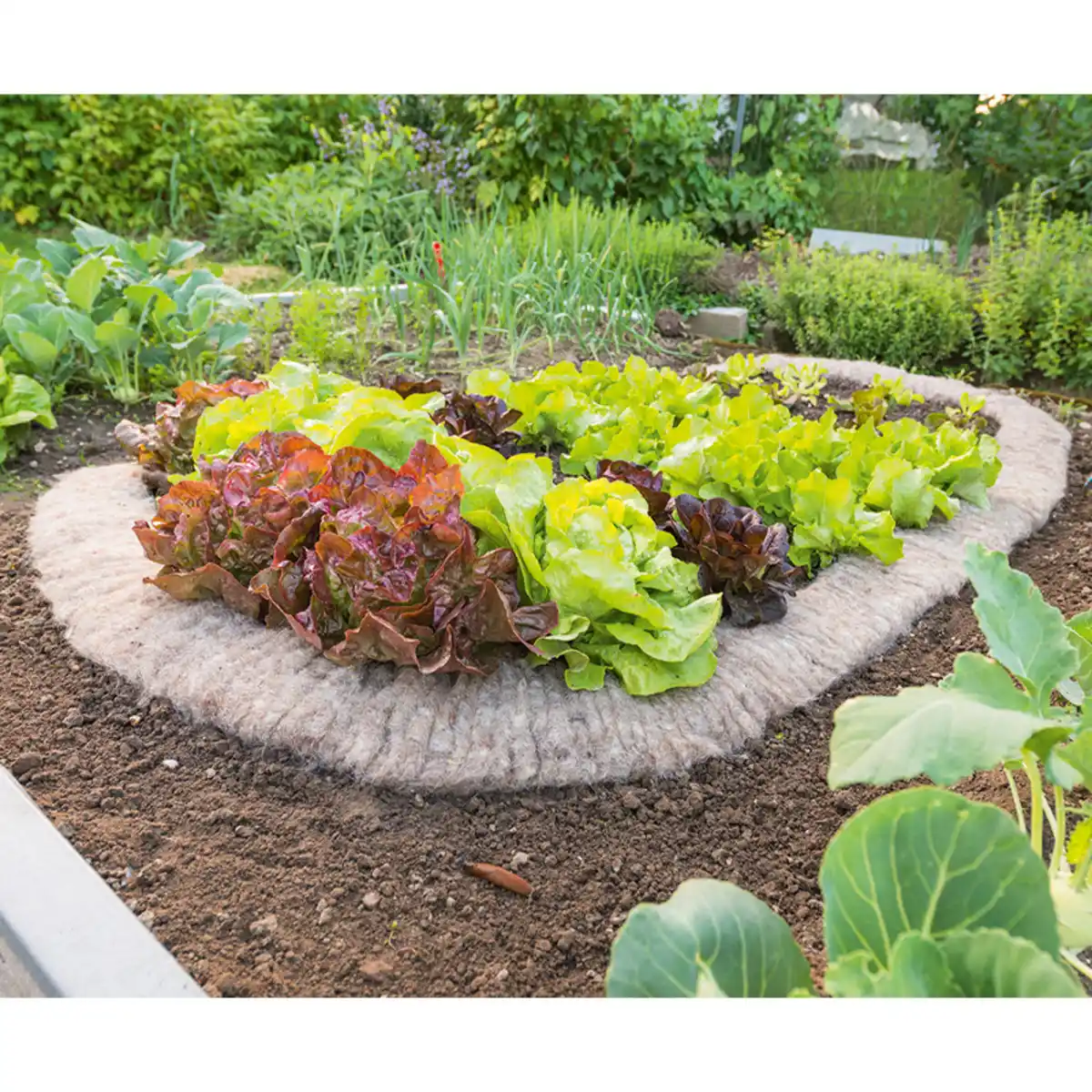 Bild 1 von Powertec Garden Schafwoll-Schneckenbremse ca. 500 x 10 cm