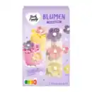 Bild 2 von BACK FAMILY Marzipan-Dekor