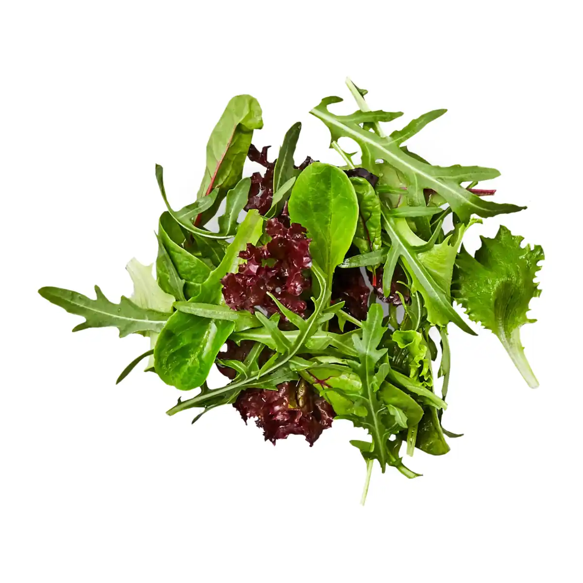 Bild 1 von Pflücksalat