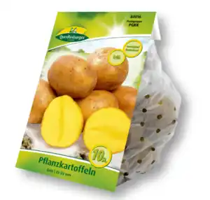 Pflanzkartoffeln