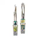 Bild 1 von GARDENLINE Beerenstrauch