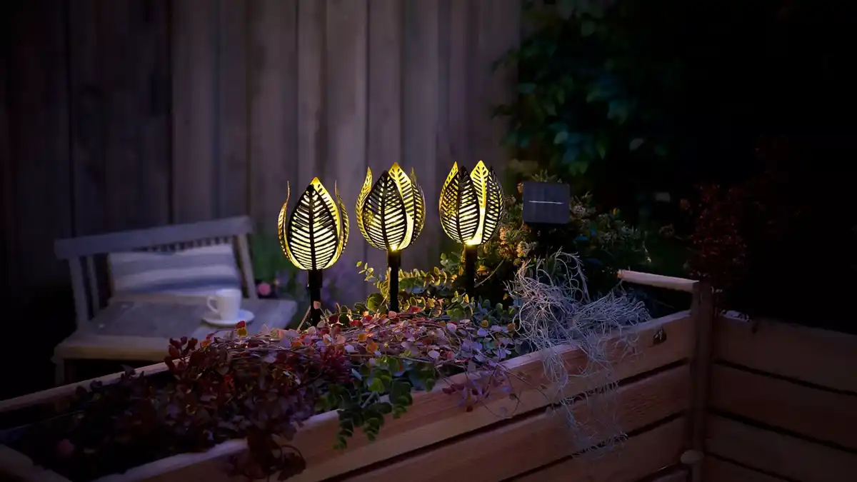 Bild 1 von BELAVI LED-Wasserlilie(n)